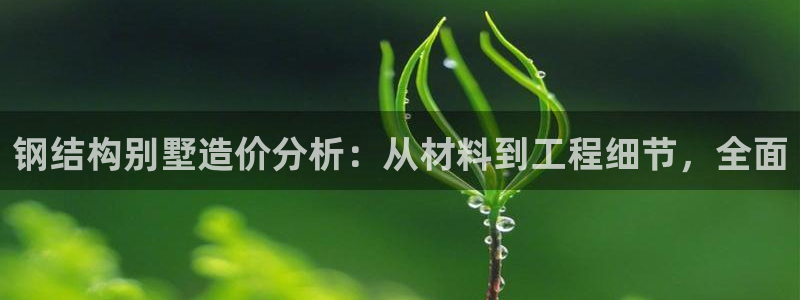 NG体育垫付金额